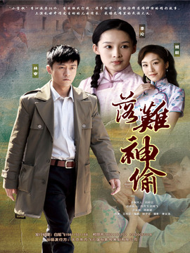 落难神偷剧情介绍_纵横剧情网