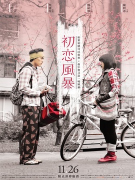 初恋风暴剧情介绍_纵横剧情网
