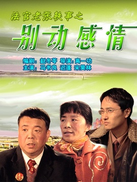 法官老张轶事之别动感情剧情介绍_纵横剧情网