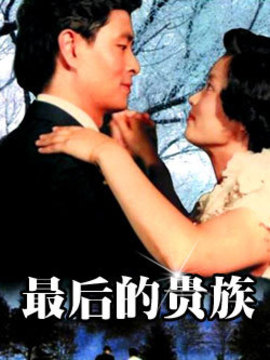 最后的贵族剧情介绍_纵横剧情网
