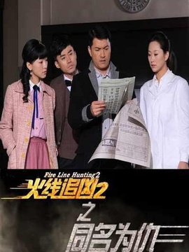 火线追凶2之同名为仇剧情介绍_纵横剧情网