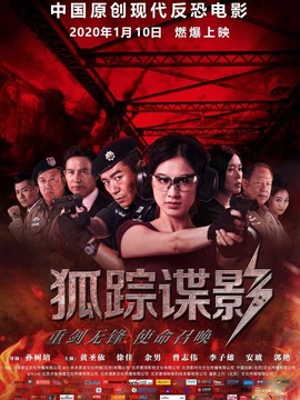 狐踪谍影剧情介绍_纵横剧情网