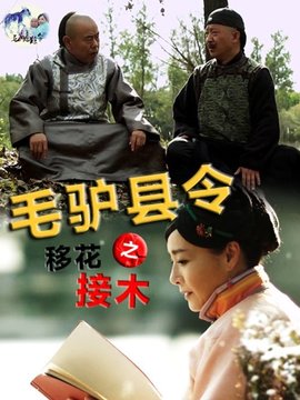 毛驴县令之移花接木剧情介绍_纵横剧情网