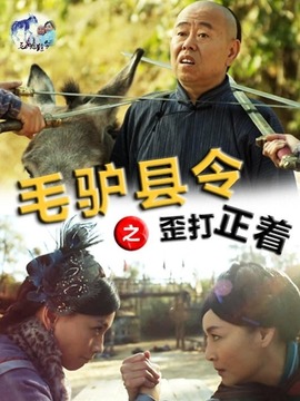 毛驴县令之歪打正着剧情介绍_纵横剧情网