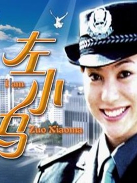 左小马剧情介绍_纵横剧情网
