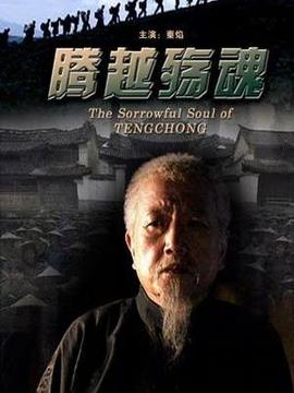 腾越殇魂剧情介绍_纵横剧情网