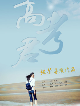 Hi，高考君剧情介绍_纵横剧情网