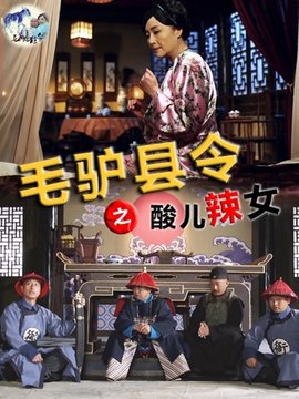 毛驴县令之酸儿辣女剧情介绍_纵横剧情网