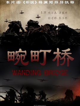 畹町桥剧情介绍_纵横剧情网