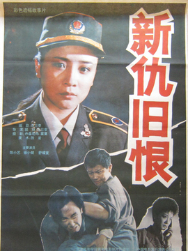 新仇旧恨剧情介绍_纵横剧情网