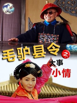 毛驴县令之大事小情剧情介绍_纵横剧情网