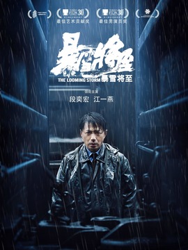 暴雪将至剧情介绍_纵横剧情网