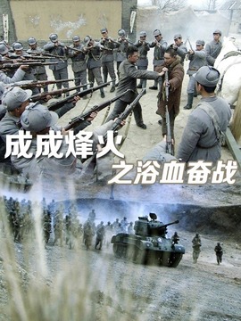 成成烽火之浴血奋战剧情介绍_纵横剧情网