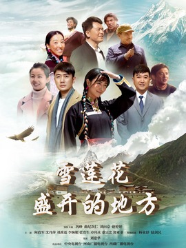 雪莲花盛开的地方剧情介绍_纵横剧情网