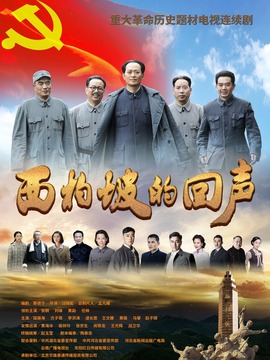 西柏坡的回声剧情介绍_纵横剧情网