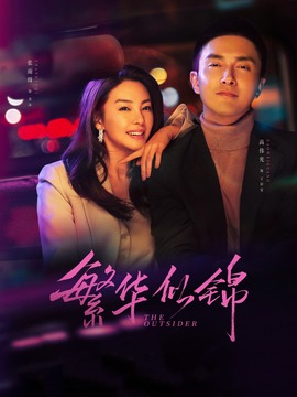 繁华似锦剧情介绍_纵横剧情网