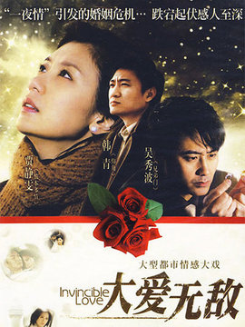 大爱无敌剧情介绍_纵横剧情网