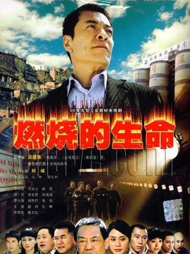 燃烧的生命剧情介绍_纵横剧情网