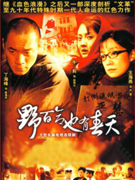 野百合也有春天剧情介绍_纵横剧情网