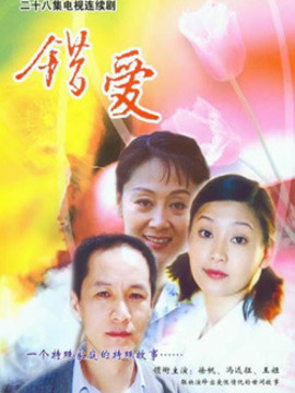 错爱1剧情介绍_纵横剧情网