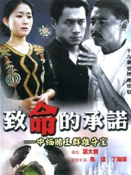 致命的承诺剧情介绍_纵横剧情网