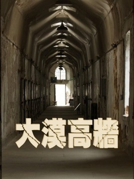 大漠高墙剧情介绍_纵横剧情网