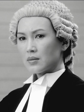 法网群英剧情介绍_纵横剧情网