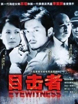 目击者剧情介绍_纵横剧情网