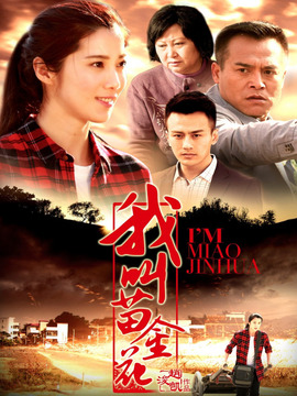 我叫苗金花剧情介绍_纵横剧情网