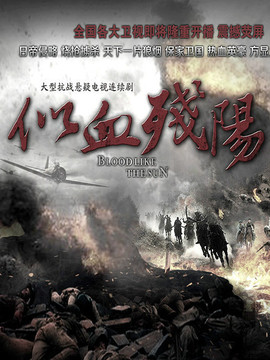 似血残阳剧情介绍_纵横剧情网