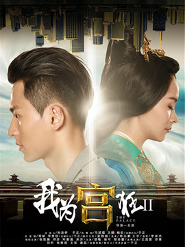 我为宫狂2剧情介绍_纵横剧情网