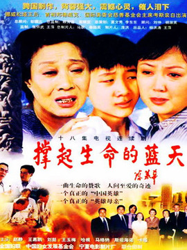 撑起生命的蓝天剧情介绍_纵横剧情网