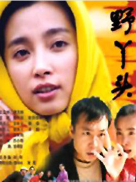 野丫头剧情介绍_纵横剧情网