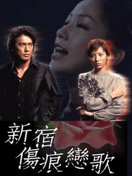新宿伤痕恋歌剧情介绍_纵横剧情网