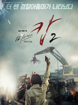 警察夫人2剧情介绍_纵横剧情网