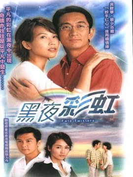 黑夜彩虹剧情介绍_纵横剧情网