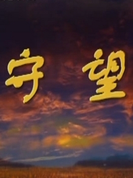 守望剧情介绍_纵横剧情网