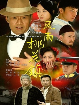 风雨桃花镇剧情介绍_纵横剧情网
