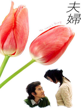 夫妇剧情介绍_纵横剧情网