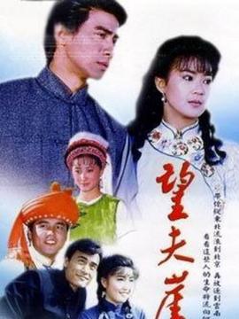 望夫崖剧情介绍_纵横剧情网