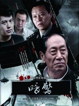 暗警剧情介绍_纵横剧情网