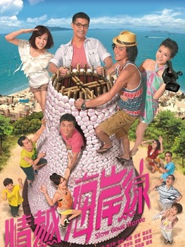 情越海岸线剧情介绍_纵横剧情网