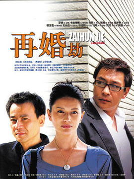再婚劫剧情介绍_纵横剧情网