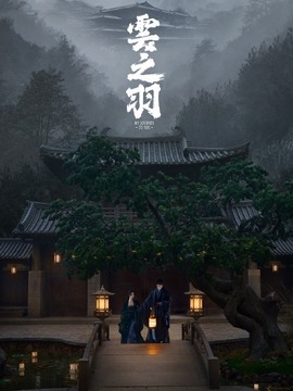 云之羽剧情介绍_纵横剧情网