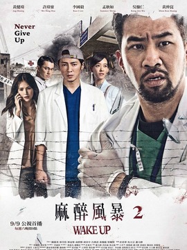 麻醉风暴2剧情介绍_纵横剧情网