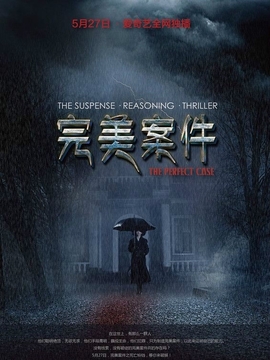 完美案件剧情介绍_纵横剧情网