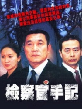 检察官手记剧情介绍_纵横剧情网