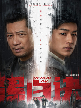 黑白诀剧情介绍_纵横剧情网