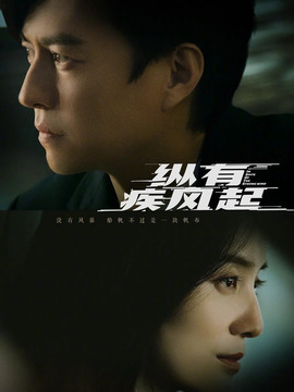 纵有疾风起剧情介绍_纵横剧情网
