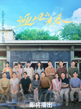 迎风的青春剧情介绍_纵横剧情网
